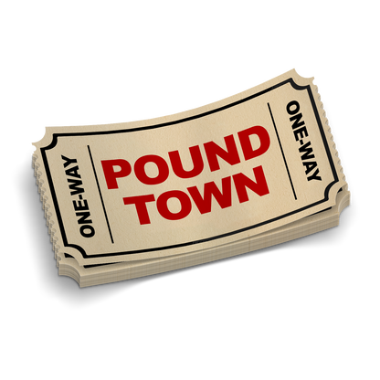 Pound Town Ticket - Hard Hat Decal